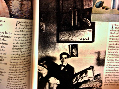 dali book preview