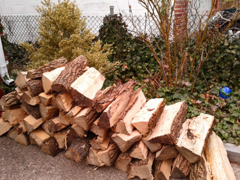 flower show firewood