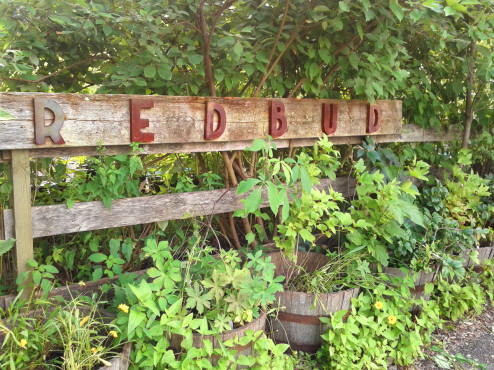 redbud nursery