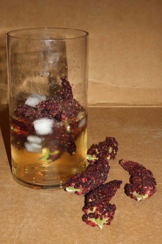 sumac 1