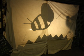 shadow bee
