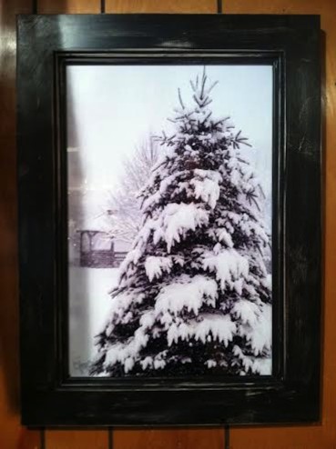 wainscoat frame carolyn