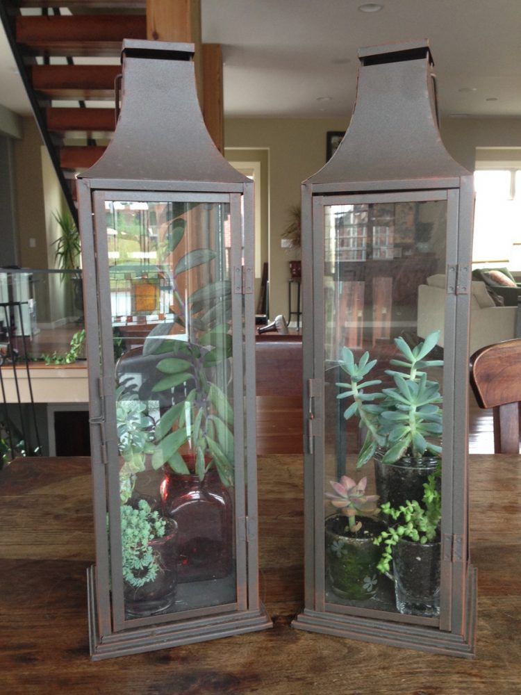 Read more about the article lantern gardens!