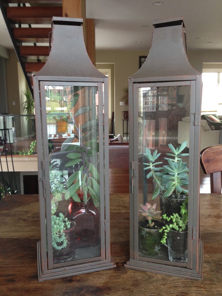 Read more about the article lantern gardens!