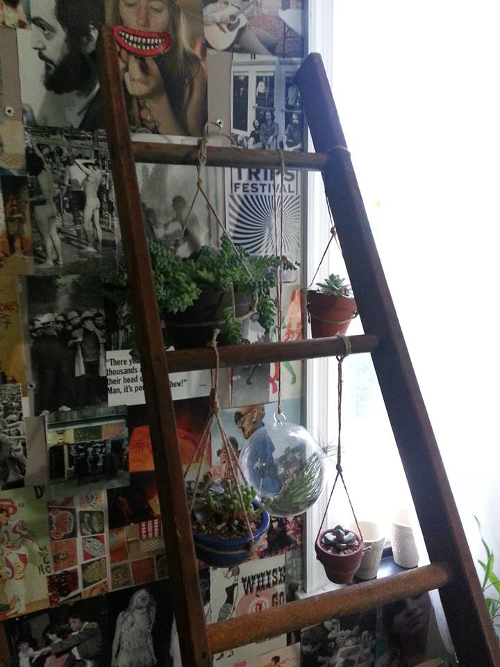 Read more about the article repurposed ladder!