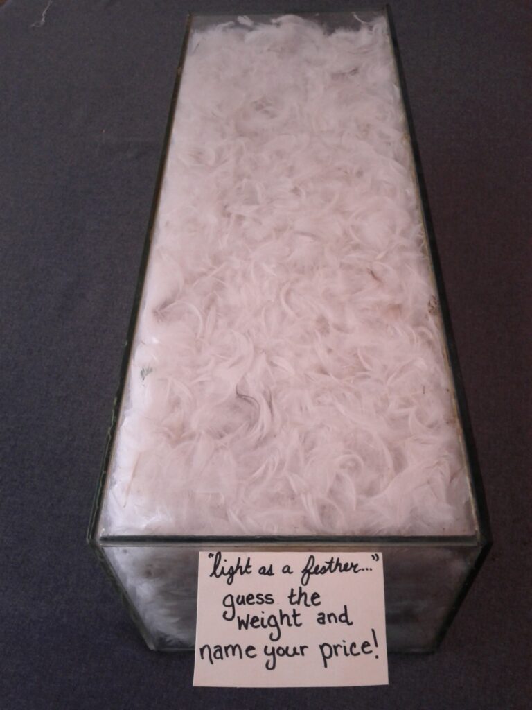 glass box of feathers