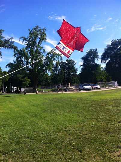 Read more about the article Let’s Go Fly A Kite!