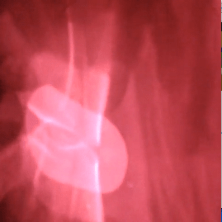 Read more about the article Will Owen