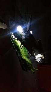 Read more about the article Reclaimed Halloween Dragon!