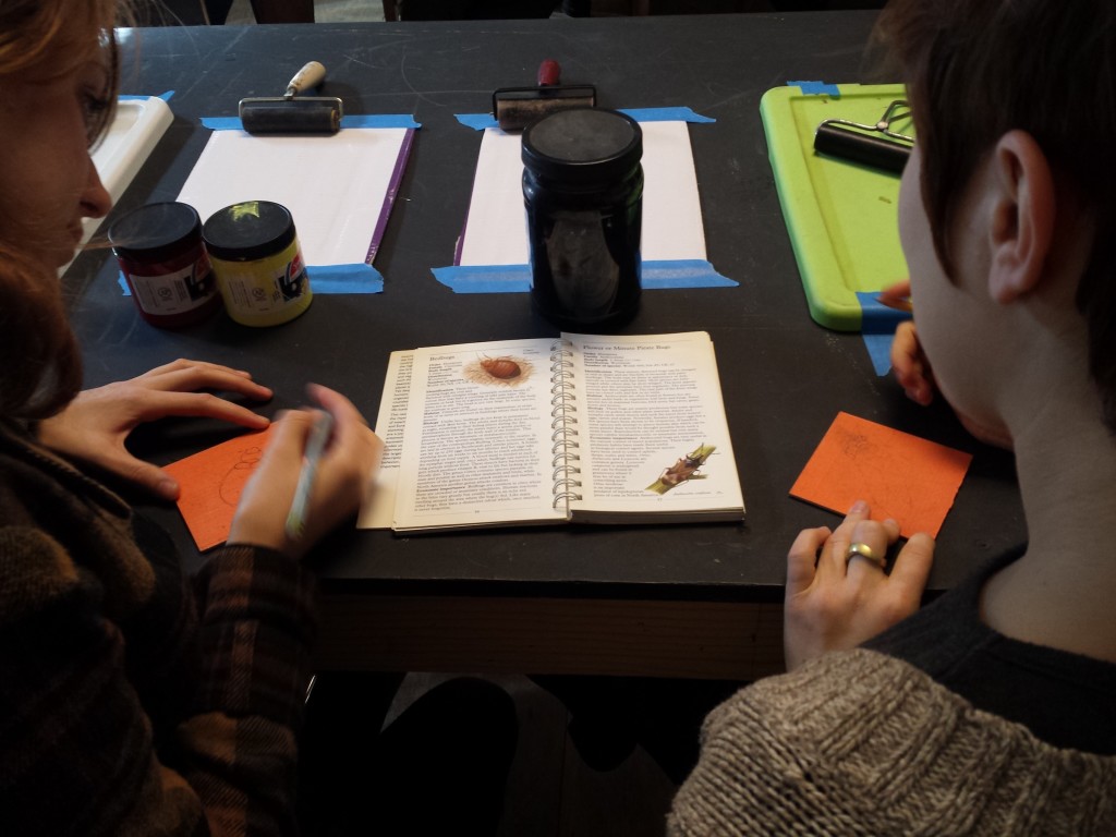 insect workshop studying bugs