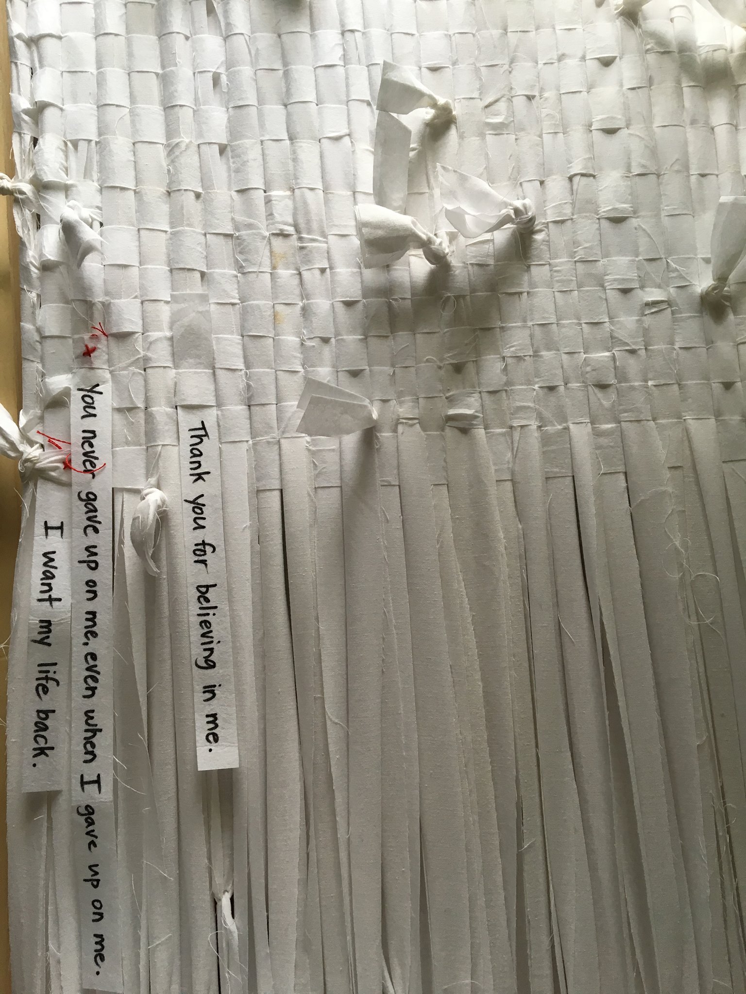 lisa-kelly-addiction-project-2