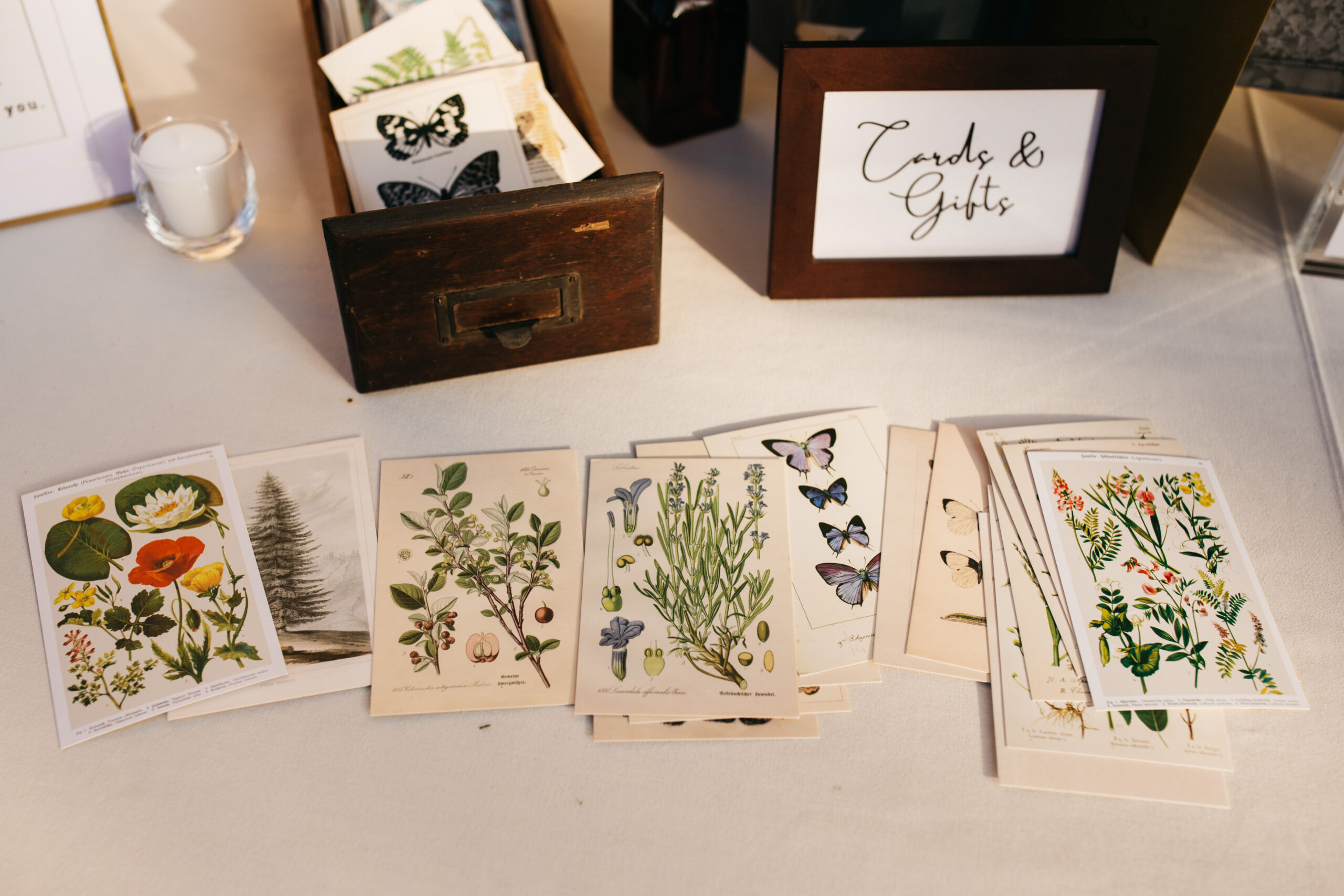 Vintage Botanical Postcards