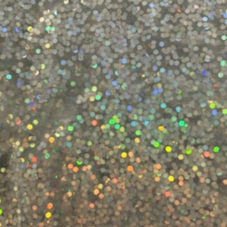 Silver Glitter 10lb Bag