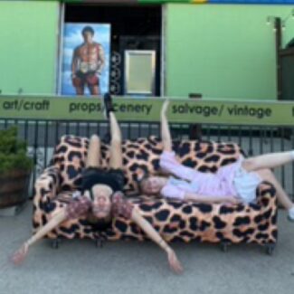 IKEA SALTSJÖBADEN Jaguar Loveseat